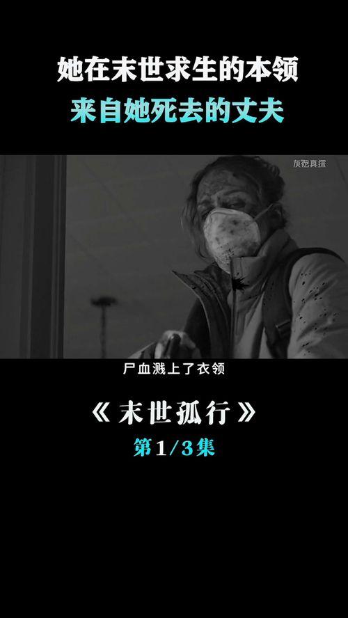 丧尸屠城在线观看,末世求生记  第2张